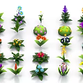Colorful Various Flowers And Plants With Different Shapes Bright Petals And Lush Leaves