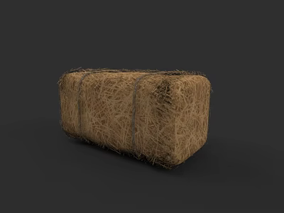 Hay Bale Tied With Ropes On Dark Background Natural Texture 3d model