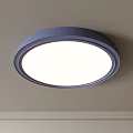 Sleek Round Flush Mount Ceiling Light with Bright White Illumination and Metal Frame 3d model