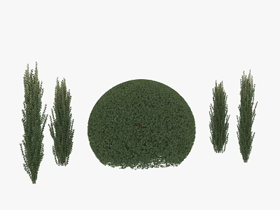 Lush Green Shrubs With Round And Upright Shapes For Garden Landscaping 3d model