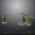 Two Palm Trees With Brown Trunks And Feathery Green Fronds On Stone Bases