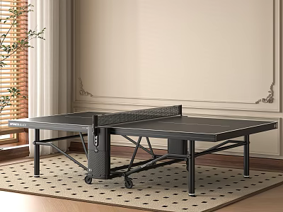 Indoor Ping Pong Entertainment Table on Patterned Rug with Window Plant and Decorative Wall 3d model