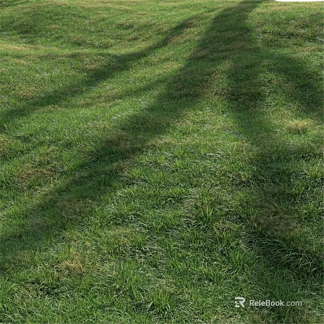 Lush Green Grass Field With Natural Tree Shadows In Sunlight 3d model 