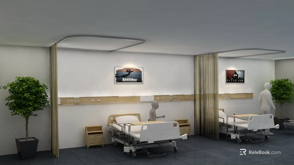 Modern Hospital Ward Interior With Two Beds Nightstands Decorative Paintings And Plants 3d model 