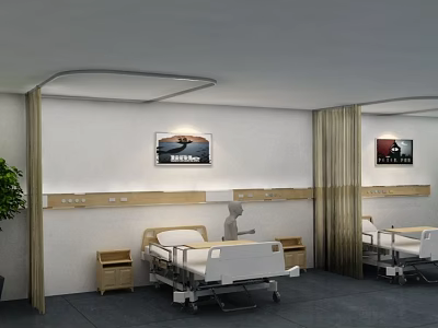 Modern Hospital Ward Interior With Two Beds Nightstands Decorative Paintings And Plants 3d model