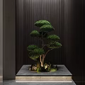 Unique Pruned Tree With Round Green Canopy On Gray Platform Dark Vertical Striped Wall