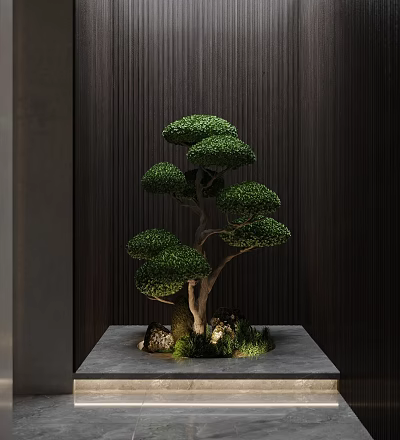 Unique Pruned Tree With Round Green Canopy On Gray Platform Dark Vertical Striped Wall 3d model