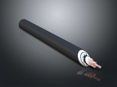 Black Insulated Electrical Cable With Exposed Copper Wires And Durable Outer Sheath 3d model