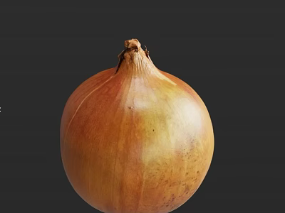 Fresh Whole Brown Onion a Natural Ingredient for Healthy Cooking Recipes 3d model