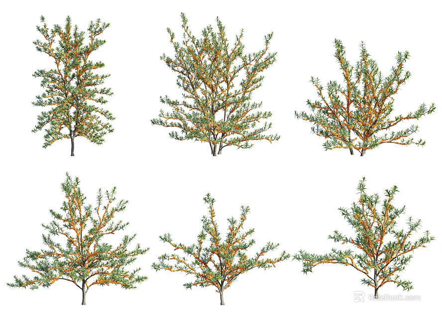 Diverse Shrub Varieties With Green Orange Leaves And Different Branch Structures 3d model