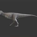 Realistic Theropod Dinosaur Model With Sharp Teeth Textured Skin And Studio Lighting 3d model