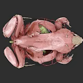 3D Rendered Anatomical Structure Showing Muscle Vessels And Internal Organs
