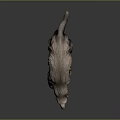 Realistic Sloth Model With Brown Fur Walking Posture And Detailed Texture