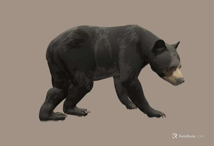 Realistic Black Bear 3D Model In Walking Pose On Brown Background 3d model 