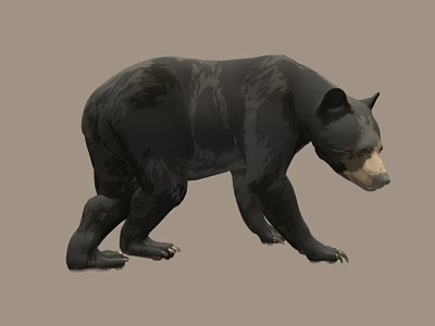 Realistic Black Bear 3D Model In Walking Pose On Brown Background 3d model