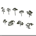 Various Arbor Trees Displaying Different Natural Growth Forms On Black Background 3d model