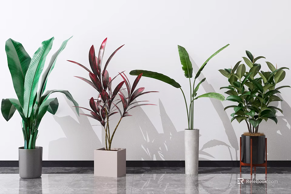 Different Potted Plants with Colorful Leaves in Various Pots on Gray Floor and White Wall 3d model 