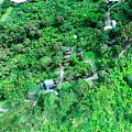 Scenic Aerial View of Lush Green Forest with Winding Pathways and Rural Houses