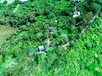 Scenic Aerial View of Lush Green Forest with Winding Pathways and Rural Houses 3d model