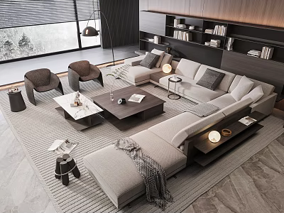 Modern Sofa Coffee Table Combination With Area Rug Side Table And Bookshelves 3d model