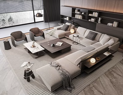 Modern Sofa Coffee Table Combination With Area Rug Side Table And Bookshelves 3d model