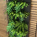 Vertical Living Green Plant Wall with Wooden Panel Background Decor