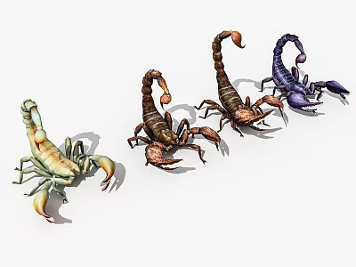 Colorful Scorpion Reptiles Showcasing Various Natural Color Variations 3d model