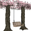 Wooden Swing Play Equipment Hanging Between Cherry Blossom Trees With Pink Flowers