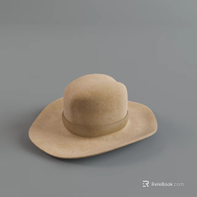 Light Brown Felt Hat With Wide Brim And Decorative Band Around Crown 3d model 