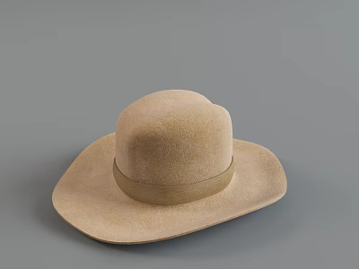 Light Brown Felt Hat With Wide Brim And Decorative Band Around Crown 3d model