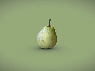 fruit pear 3d model