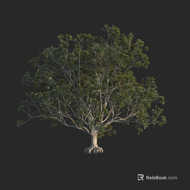 Lush Green Arbor With Dense Foliage Strong Trunk Exposed Roots Isolated On Dark Background 3d model 