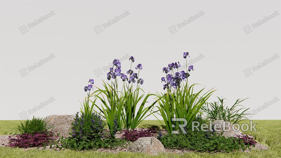 Modern plant Iris irises model