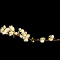 Slender Plant Branch With Blooming White Flowers And Delicate Green Leaves