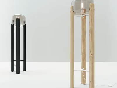 Modern Minimalist Black And Wooden Floor Lamp With Transparent Shade Design 3d model