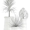 Variety of Bonsai Potted Plants With Different Leaf Shapes And Decorative Wooden Cement Fabric Planters