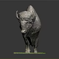 Realistic Bison Model Display On Green Base With Black Platform And White Particles