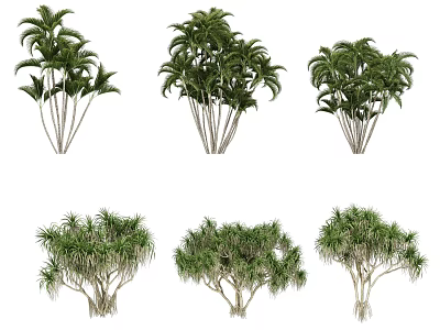 Collection of Various Arborescent Trees With Different Leaf Shapes and Trunk Structures 3d model