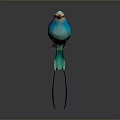Colorful Blue Bird with Orange and Brown Wings Long Tail on Gray Background