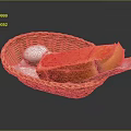 Woven Basket With Sliced Bread And White Egg On Dark Background 3d model