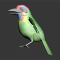 Colorful Tropical Bird With Green Wings Red Head Blue Neck Spreading Wings On Shiny Surface