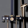 Modern Brass Wall Mounted Shower System With Rain Head And Handheld Sprayer 3d model