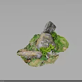Scenic Natural Terrain with Rocks Green Moss Lush Vegetation and Grass