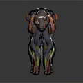 Detailed 3D Anatomical Panther Model Showing Muscles Bones And Vibrant Internal Structure Rendering