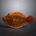 Orange Red Spotted Flat Aquatic Animal Fish with Unique Body Structure and Fins