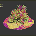 Green Leafy Succulent Plants On Circular White Pebble Base With Small Stones And Colorful Pebbles