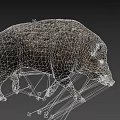 Realistic Wild Boar 3D Model With Detailed Fur Texture And Dark Background