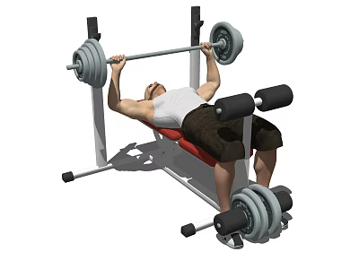 A Man Performing Barbell Bench Press On Weight Bench For Strength Training 3d model