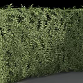 Decorative Green Bushes with Curved and Square Shapes for Garden Landscaping