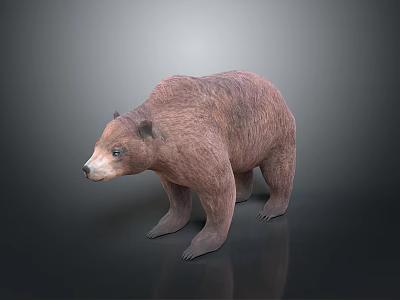 Realistic 3D Model of Brown Bear Standing on Dark Background with Reflection 3d model